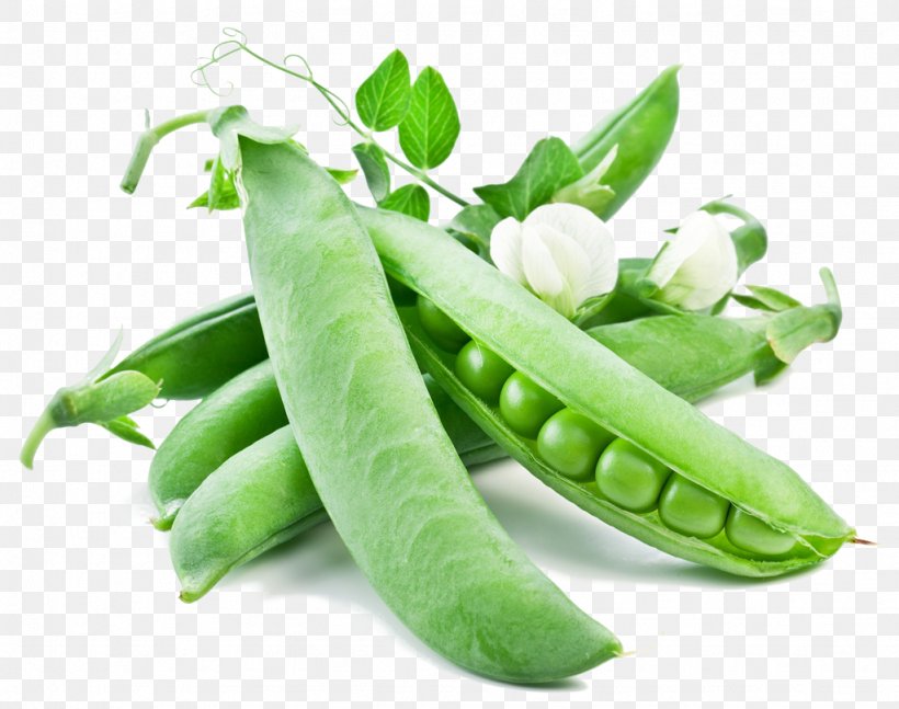 Snow Pea Vegetable Snap Pea Seed Pea Protein, PNG, 1024x808px, Snow Pea, Bean, Broad Bean, Broccoli, Commodity Download Free