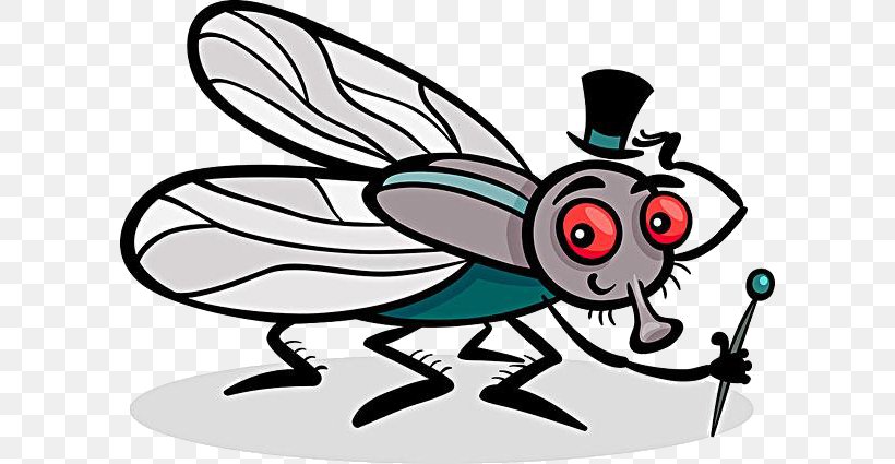 Insect Housefly Coloring Book Illustration, PNG, 600x425px, Insect, Art, Artwork, Color, Coloring Book Download Free