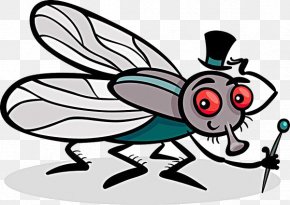 Cartoon Mosquito Material - Insect Housefly Coloring Book Illustration PNG