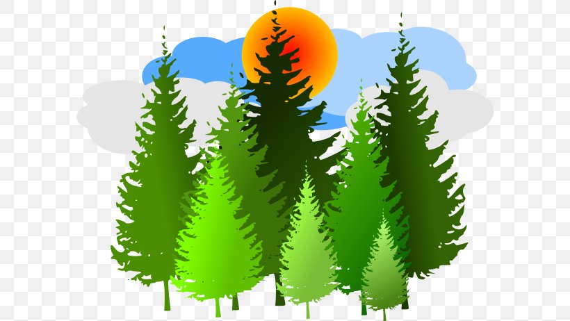 Temperate Coniferous Forest Free Content Clip Art, PNG, 600x462px, Forest, Biome, Blog, Conifer, Evergreen Download Free