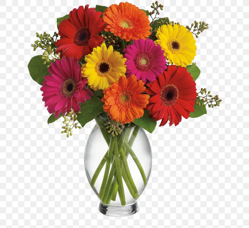 Transvaal Daisy Flower Bouquet Cut Flowers Floristry, PNG, 650x748px, Transvaal Daisy, Annual Plant, Artificial Flower, Birthday, Common Daisy Download Free