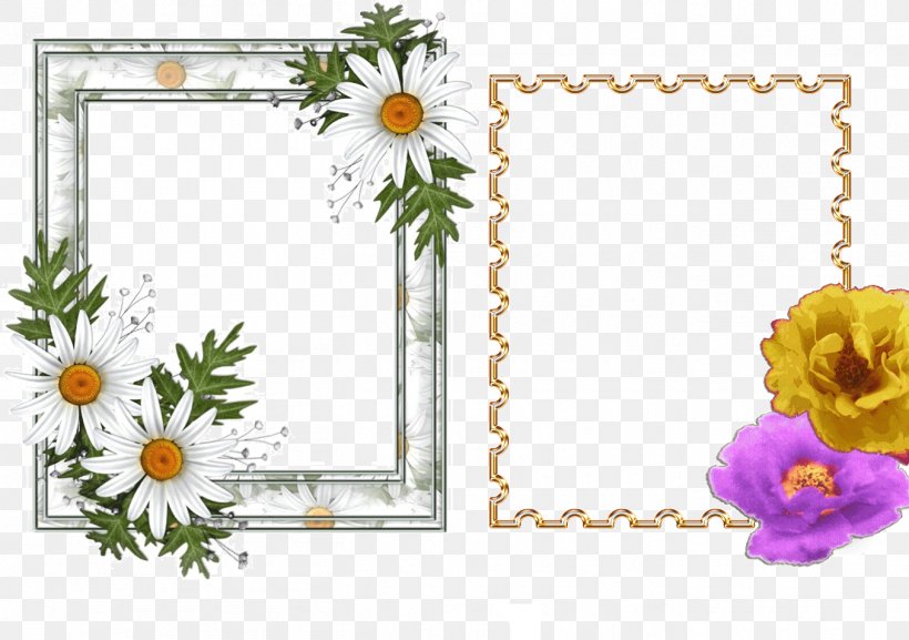 Floral Design Picture Frames Cut Flowers Pattern, PNG, 1355x955px, Floral Design, Blog, Cut Flowers, Decor, Film Frame Download Free