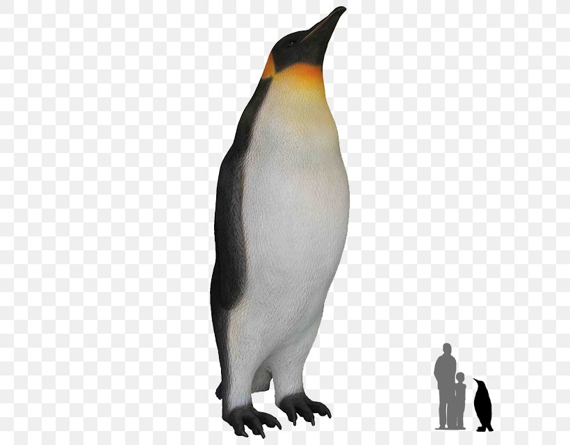 King Penguin Bird Antarctica, PNG, 640x640px, Penguin, Animal, Antarctic, Antarctica, Beak Download Free