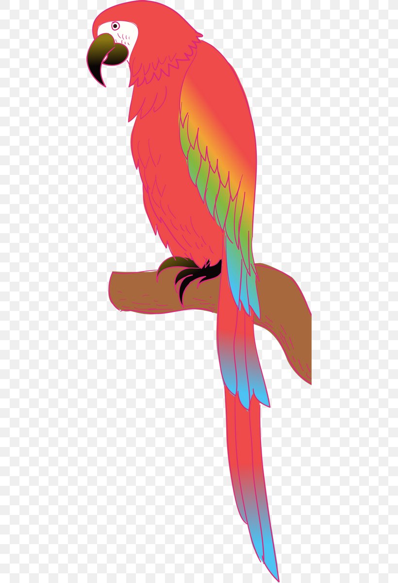 Macaw Parrot Parakeet Budgerigar Bird, PNG, 464x1200px, Macaw, Advertising, Atlantic Canary, Beak, Bird Download Free