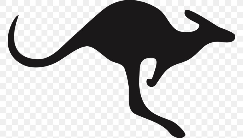Macropods Kangaroo Clip Art Silhouette, PNG, 768x465px, Macropods, Black Cat, Boxing Kangaroo, Drawing, Flag Of Australia Download Free
