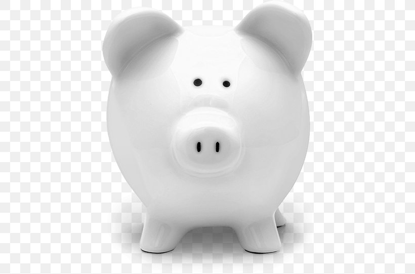 Piggy Bank Funding Finance Therapy, PNG, 505x541px, Piggy Bank, Bank, Credit, Finance, Funding Download Free