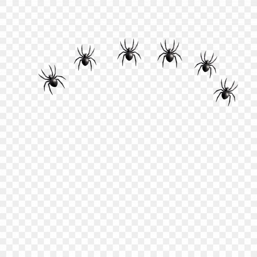 Spiders Cartoon, PNG, 3464x3464px, Spider, Ant, Arachnid, Blackandwhite, Doll Download Free