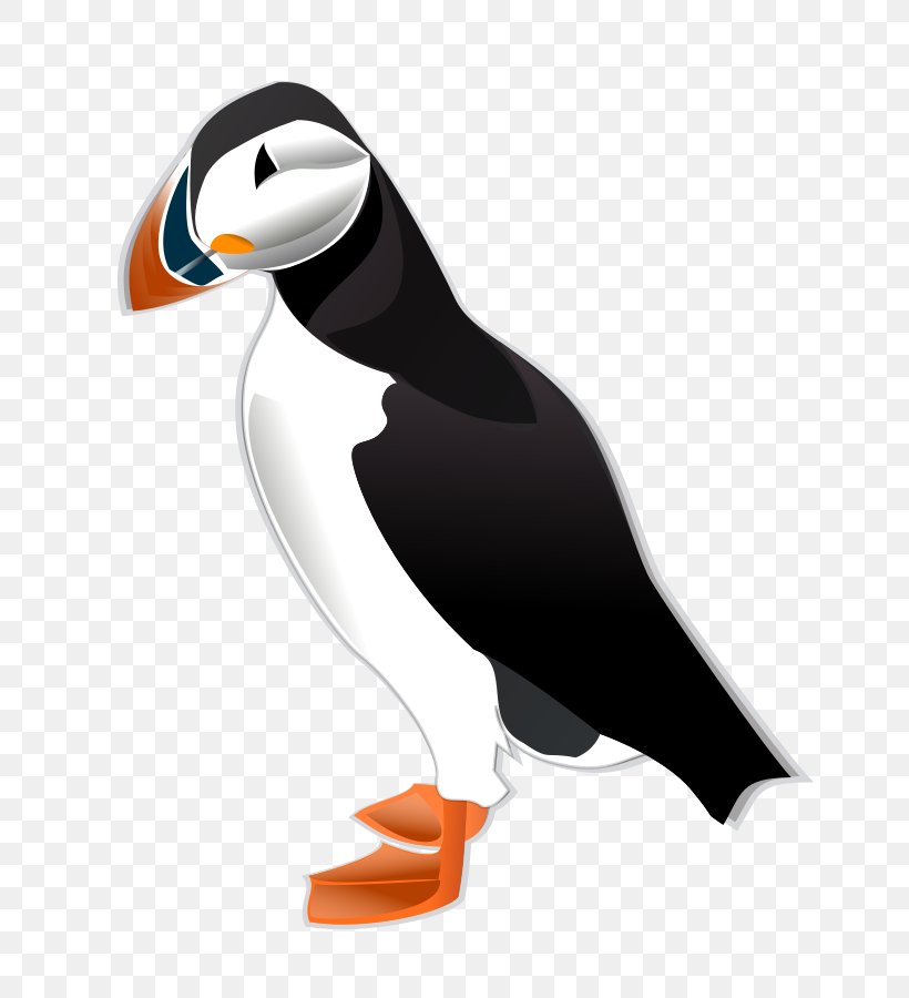 Bird Atlantic Puffin Clip Art, PNG, 756x900px, Bird, Animal, Atlantic Puffin, Auk, Beak Download Free