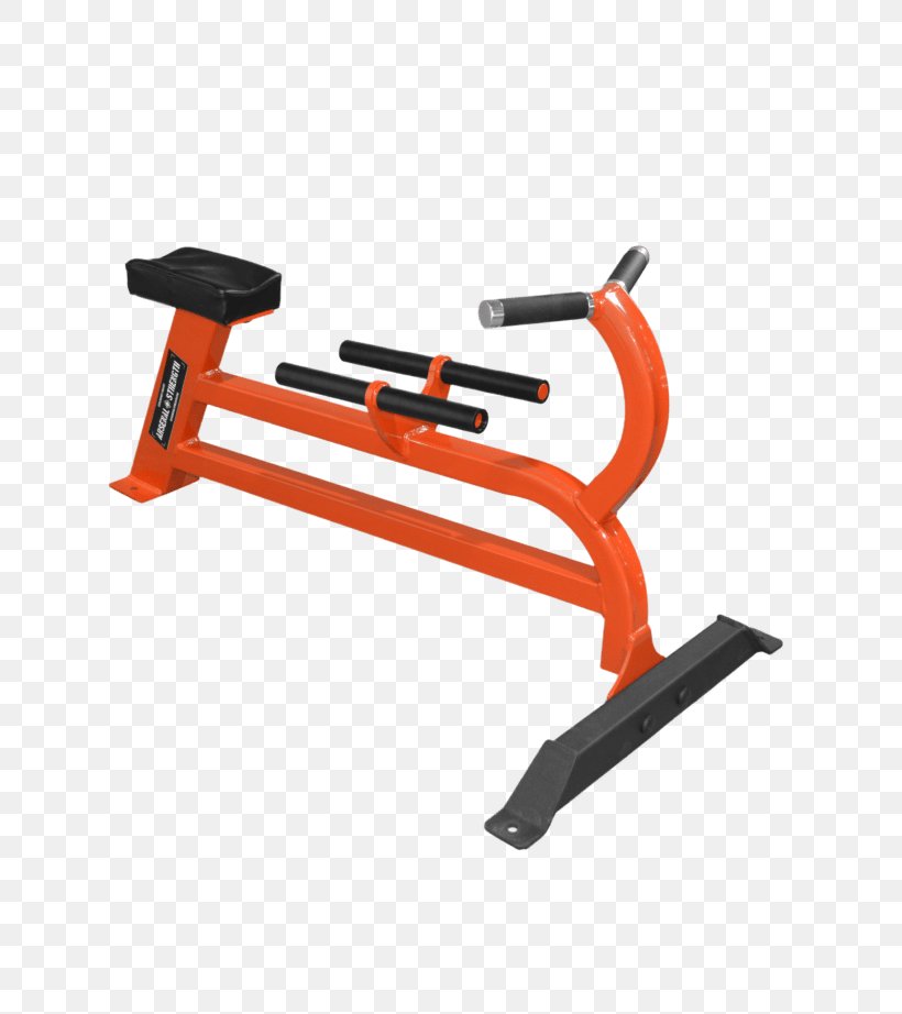 Exercise Machine Bent-over Row Bench Dumbbell, PNG, 768x922px, Exercise Machine, Automotive Exterior, Bench, Bench Press, Bentover Row Download Free