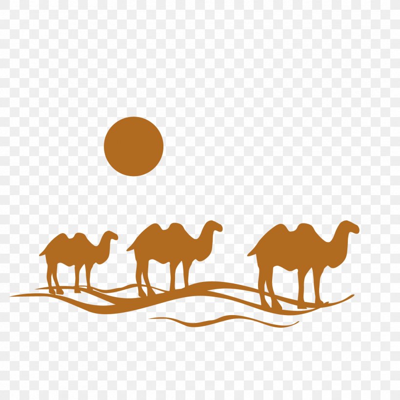 Flight Travel Agent Logo, PNG, 1772x1772px, Flight, Area, Camel, Camel Like Mammal, Cheaptickets Download Free