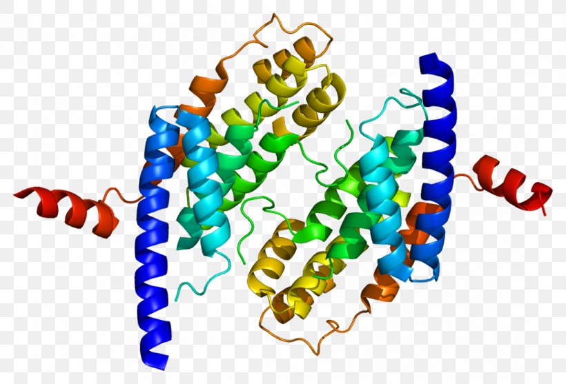 TERF2 Telomere-binding Protein TERF1, PNG, 1092x743px, Telomere, Cell Cycle, Organism, Protein, Singlestranded Binding Protein Download Free