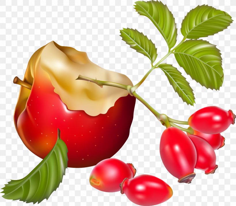 Apple Barbados Cherry Food Fruit Image, PNG, 1351x1177px, Apple, Acerola, Acerola Family, Barbados Cherry, Berry Download Free