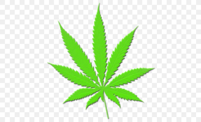 Cannabis Sativa Medical Cannabis Marijuana Hashish, PNG, 500x500px, Cannabis Sativa, Cannabis, Drawing, Hashish, Hemp Download Free
