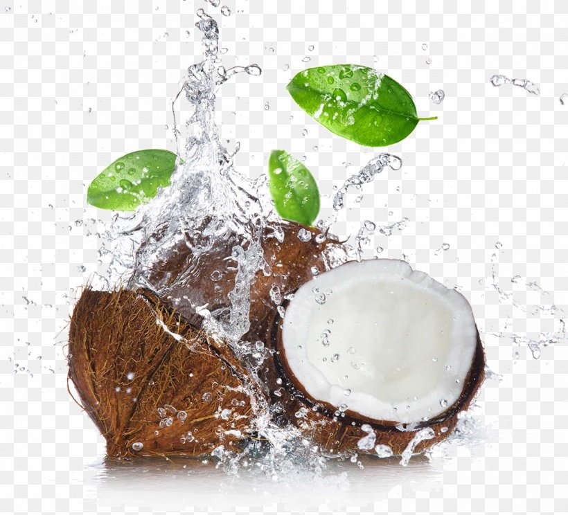 Coconut Water Coconut Milk Coconut Oil Cocoa Bean, PNG, 1200x1089px, Coconut Water, Cacao Tree, Cocoa Bean, Cocoa Butter, Cocoa Solids Download Free