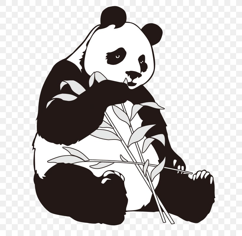 Giant Panda Bamboo Clip Art, PNG, 800x800px, Giant Panda, Art, Bamboo, Bear, Black And White Download Free