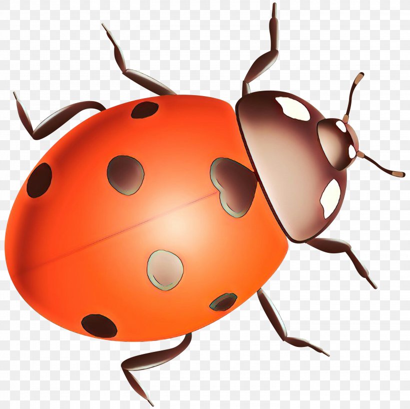Ladybird Beetle Clip Art Pest Snout, PNG, 3000x2991px, Ladybird Beetle, Arthropod, Beetle, Blister Beetles, Darkling Beetles Download Free