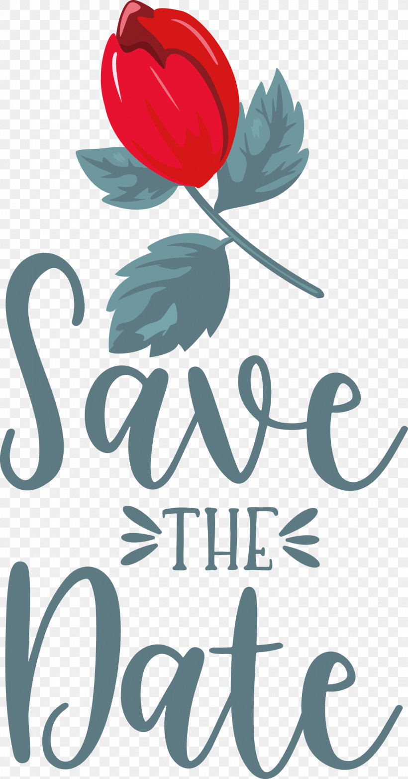 Save The Date Wedding, PNG, 1571x2999px, Save The Date, Biology, Floral Design, Flower, Logo Download Free