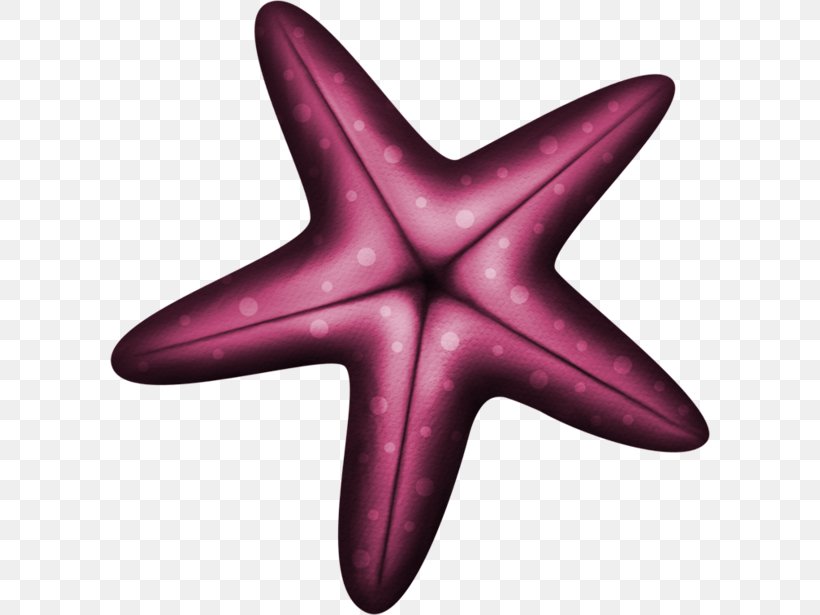 Starfish Euclidean Vector Purple Blue, PNG, 600x615px, Starfish, Blue, Bluegreen, Echinoderm, Green Download Free
