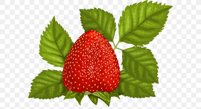 Strawberry Ice Cream Juice Fruit Clip Art, PNG, 600x447px, Strawberry, Accessory Fruit, Amorodo, Berry, Food Download Free