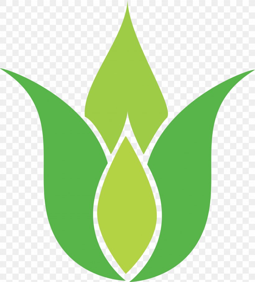 Symbol Leaf Sign Logo Pattern, PNG, 3182x3523px, Symbol, Axial Symmetry, Grass, Green, Leaf Download Free