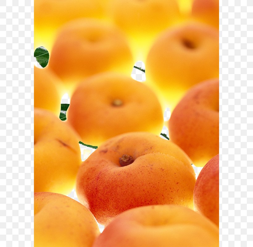 Apricot Clementine Auglis Fruit, PNG, 600x800px, Apricot, Auglis, Clementine, Diet Food, Food Download Free