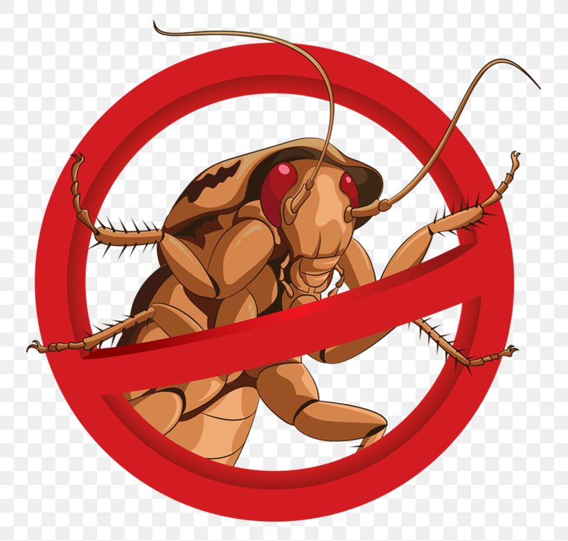 Cockroach Mosquito Pest Control Illustration, PNG, 793x781px, Cockroach, American Cockroach, Business Card, Card Stock, Drawing Download Free