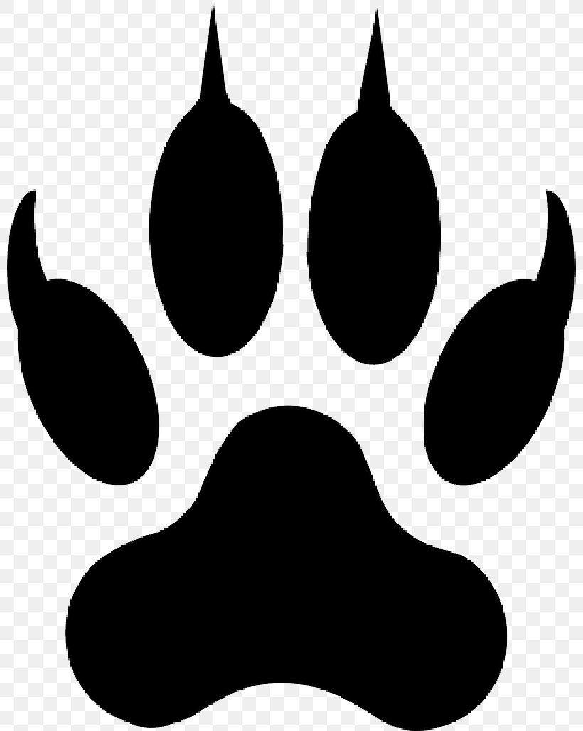 Lion Clip Art Tiger Wolf Liger, PNG, 800x1028px, Lion, Blackandwhite, Claw, Cougar, Footprint Download Free