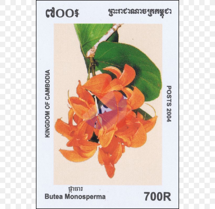 Postage Stamps Wildflower Bulletin Board Mail, PNG, 800x800px, Postage Stamps, Bulgaria, Bulgarian, Bulletin Board, Flower Download Free