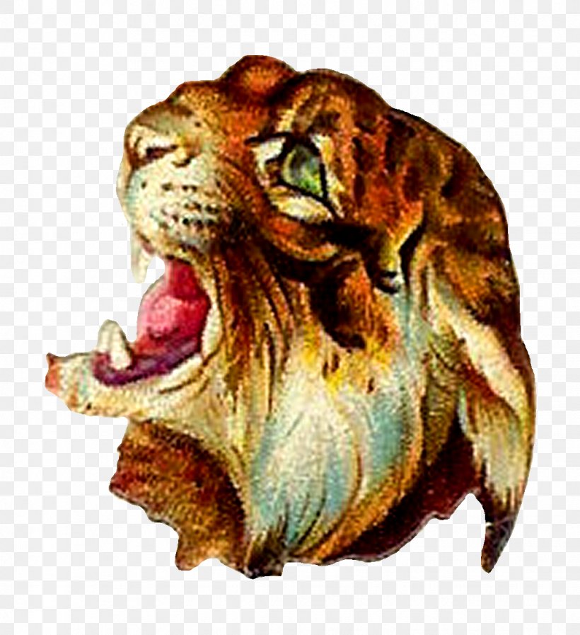 Tiger Lion Felidae Cheetah Hyena, PNG, 1136x1243px, Tiger, Animal, Big Cat, Big Cats, Carnivora Download Free