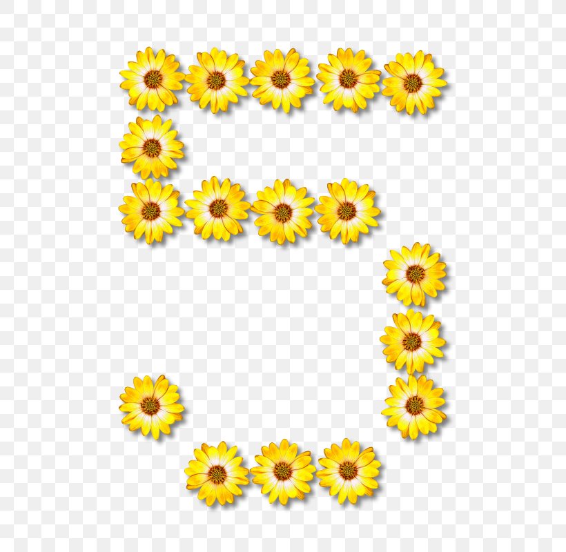 Alphabet Letter Clip Art, PNG, 572x800px, Alphabet, Calendula, Chrysanths, Cut Flowers, Daisy Family Download Free