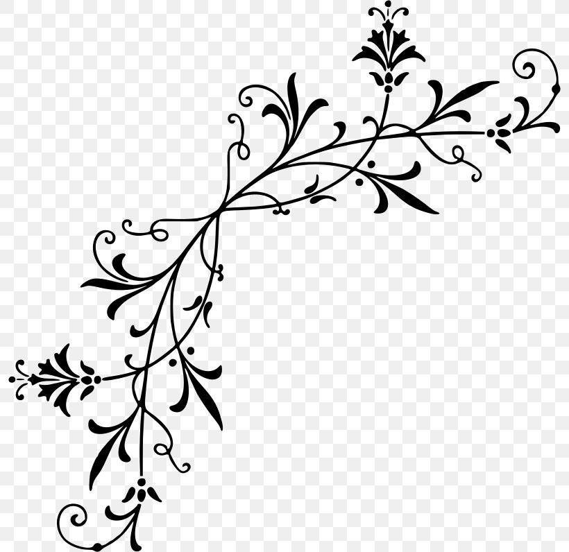 Drawing Floral Design Clip Art, PNG, 796x796px, Drawing, Black, Black And White, Branch, Cartoon Download Free