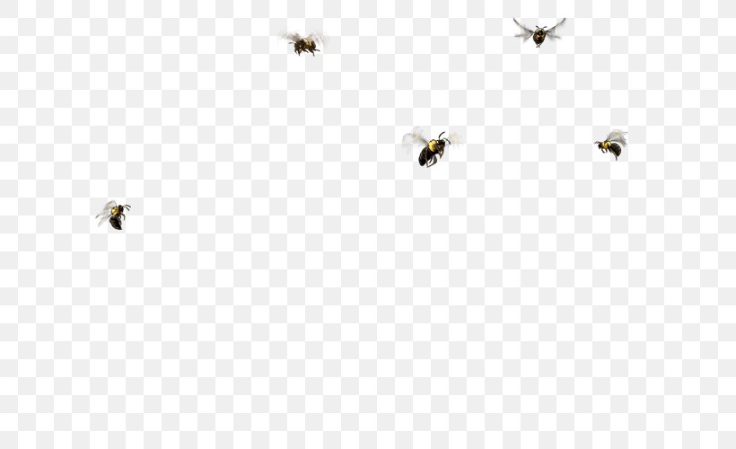 Honey Bee Line Font, PNG, 640x500px, Honey Bee, Bee, Bird, Flock, Honey Download Free