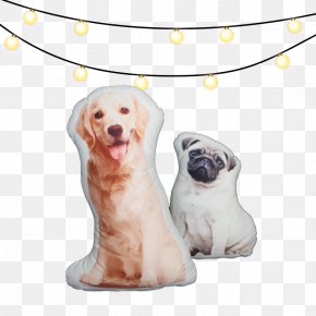 Puppy - Labrador Retriever Puppy How To Make Pillows Pet PNG