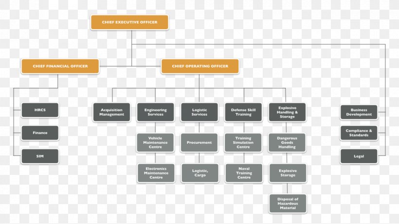 Organizational Chart Chief Operating Officer Chief Executive Structure, PNG, 1200x675px, Organization, Brand, Chief Executive, Chief Operating Officer, Company Download Free