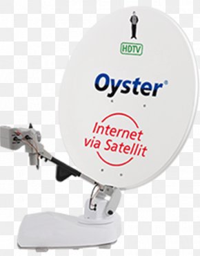 Oyster Plate - Satellite Dish Oyster Internet High-definition Television PNG