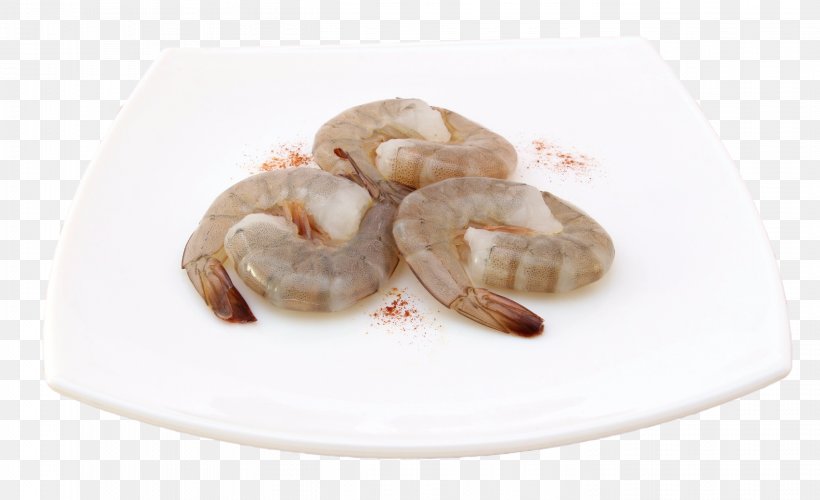 Shrimp Caridea Food Appetite Eating, PNG, 2621x1600px, Shrimp, Animal Source Foods, Appetite, Calorie, Caridea Download Free