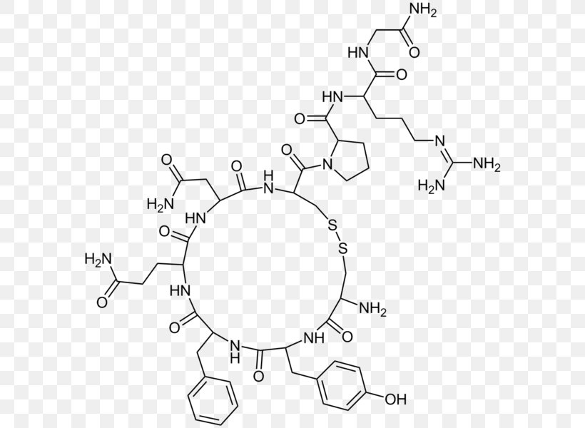 Vasopressin Antidiuretic Molecule Hormone Chemistry, PNG, 592x600px, Vasopressin, Adrenal Gland, Amino Acid, Antidiuretic, Area Download Free