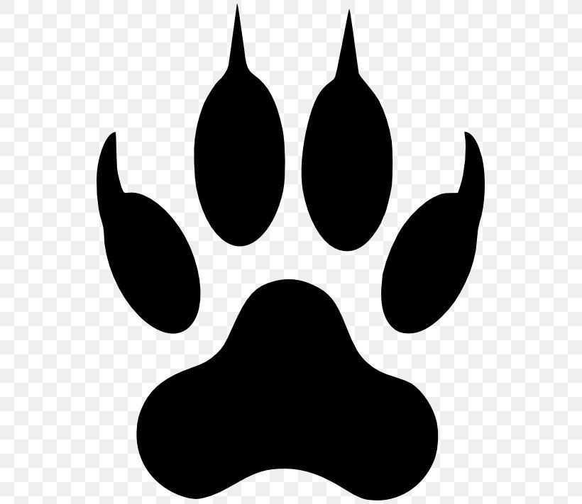 Dog Paw Cat Clip Art, PNG, 557x711px, Dog, Bear, Black, Black And White, Cat Download Free