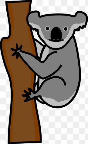 Climb A Tree Koala - Koala Giant Panda Bear Cuteness Clip Art PNG