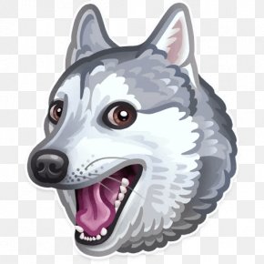 Telegram Sticker Shiba Inu Cat Pusheen PNG