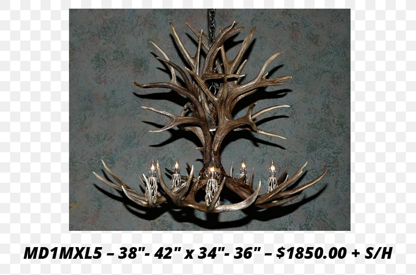 White-tailed Deer Moose Elk Mule, PNG, 736x542px, Deer, Antler, Antlers By Cody, Brass, Chandelier Download Free