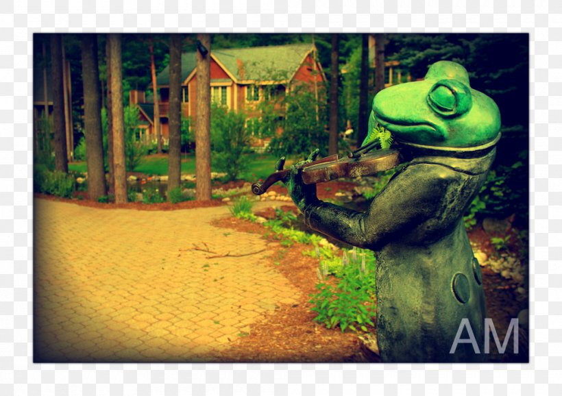 Frog Art Tree, PNG, 1000x706px, Frog, Amphibian, Art, Fauna, Grass Download Free