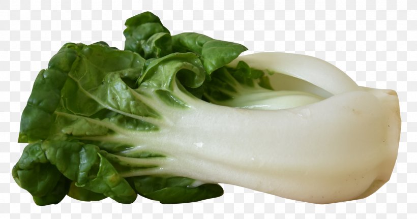 Bok Choy Broccoli, PNG, 1797x945px, Bok Choy, Broccoli, Chinese Cabbage, Cruciferous Vegetables, Diagram Download Free