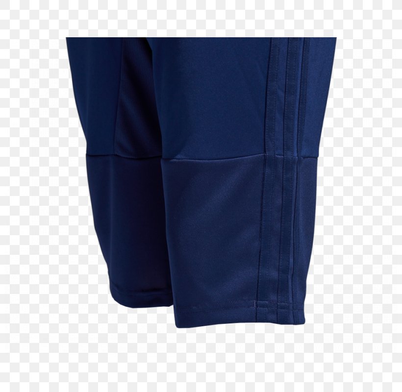 Cobalt Blue Pants Shorts Sleeve, PNG, 800x800px, Cobalt Blue, Active Pants, Active Shorts, Blue, Cobalt Download Free