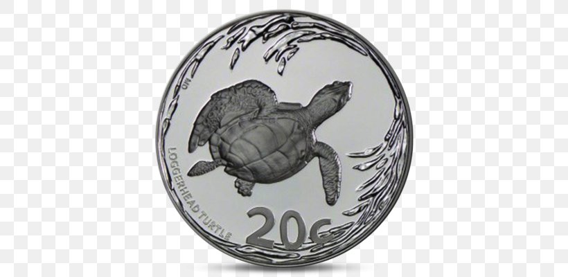 Tortoise Pond Turtles Sea Turtle, PNG, 708x400px, Tortoise, Emydidae, Pond Turtles, Reptile, Sea Turtle Download Free