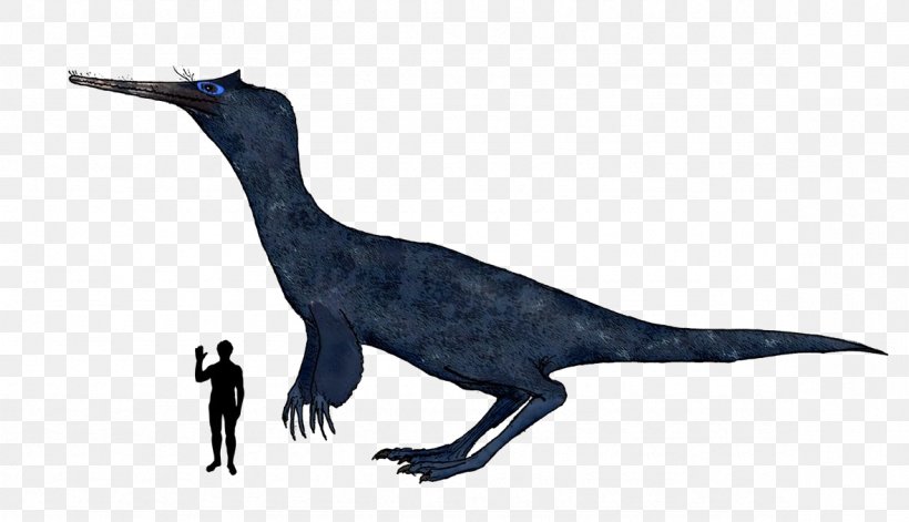 Velociraptor Dinosaur Ornithomimosauria Therizinosaur Oviraptoridae, PNG, 1179x678px, Velociraptor, Animal Figure, Beak, Bird, Dinosaur Download Free