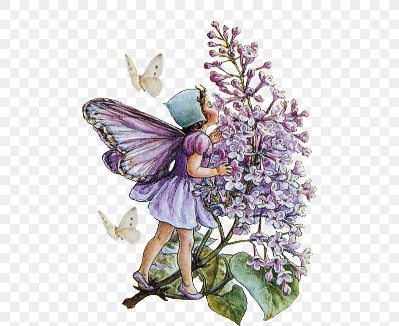 A Flower Fairy Alphabet Flower Fairies Of The Garden Flower Fairies Of The Autumn: With The Nuts And Berries They Bring, PNG, 482x669px, Flower Fairy Alphabet, Art, Butterfly, Cicely Mary Barker, Decoupage Download Free