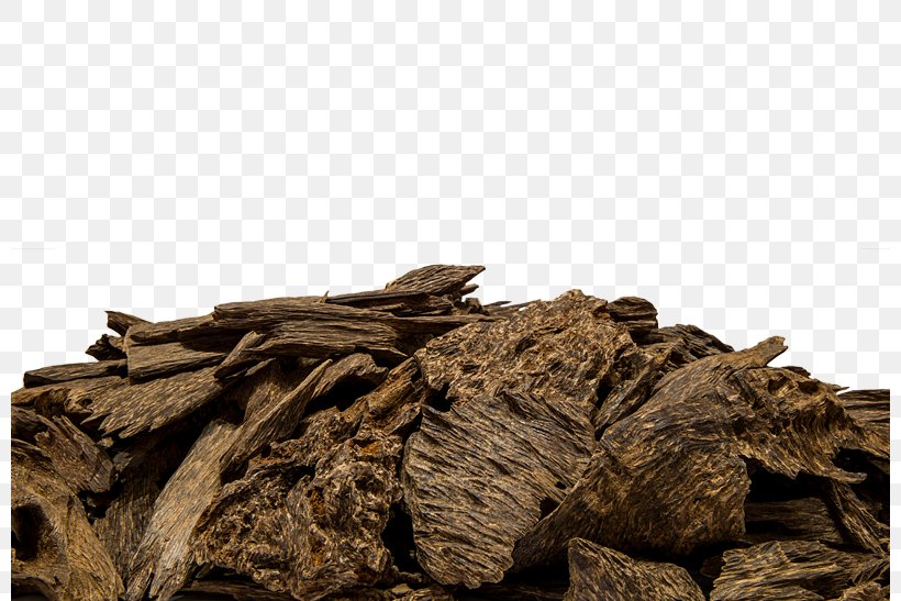 Agarwood Incense Aquilaria Perfume, PNG, 800x547px, Agarwood, Aquilaria, Bukhoor, Cambodia, Incense Download Free