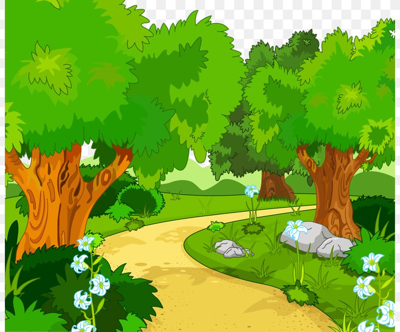 Free Content Forest  Clip Art PNG  800x682px Free Content 