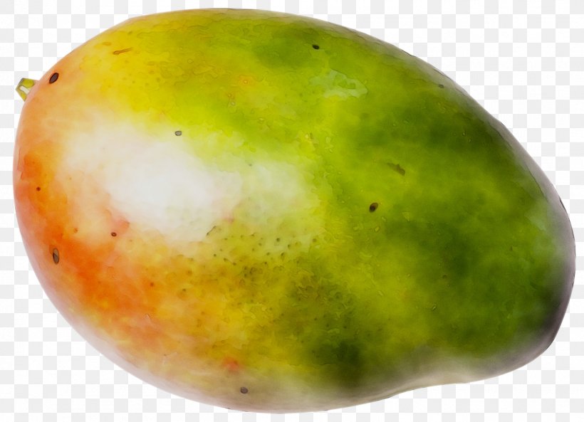 Mango, PNG, 1559x1129px, Mango, Food, Fruit, Mangifera, Plant Download Free